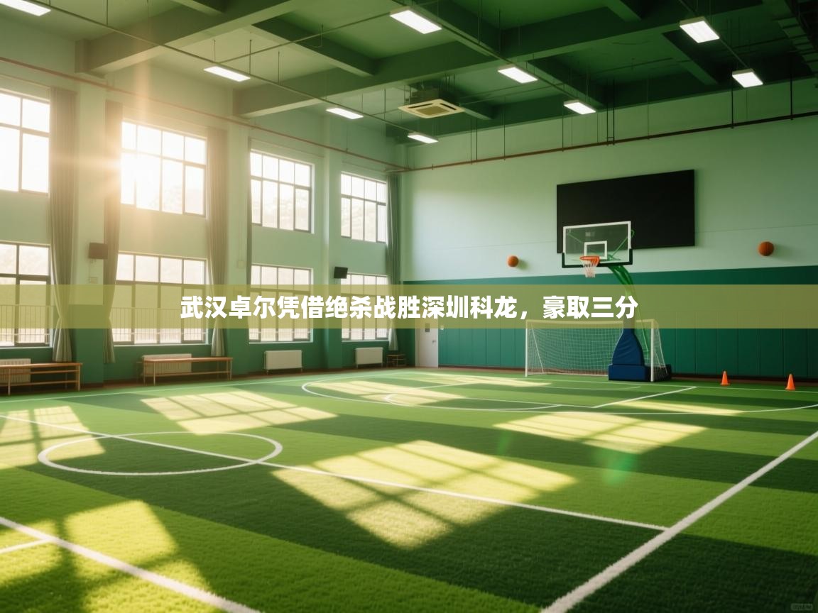 开云体育在线网址-武汉卓尔凭借绝杀战胜深圳科龙，豪取三分  第4张